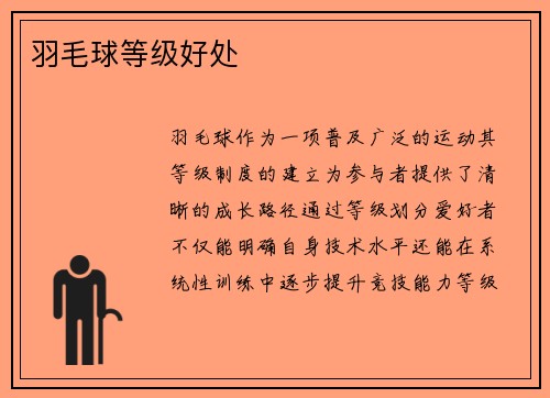 羽毛球等级好处