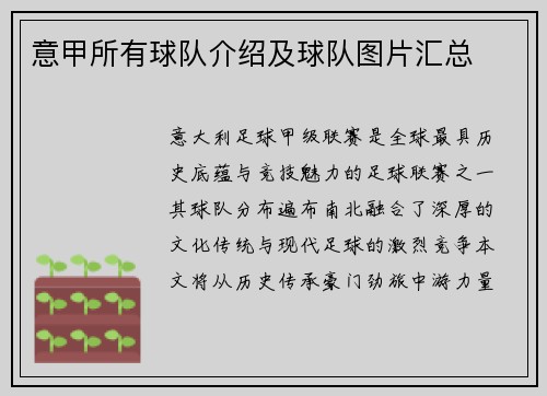 意甲所有球队介绍及球队图片汇总
